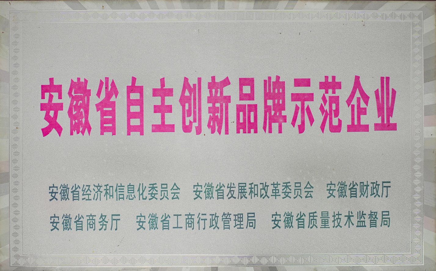 安徽省自主創新品牌示范企業